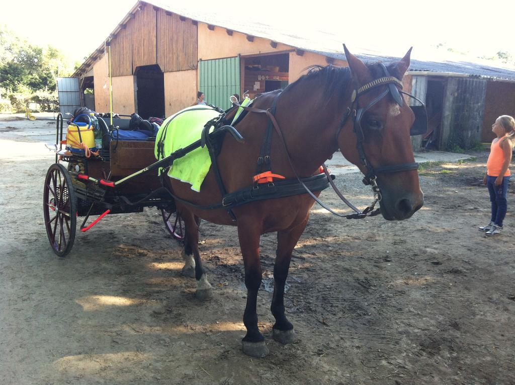 Cavalibre Chambre D'Hotes Mesquer Esterno foto